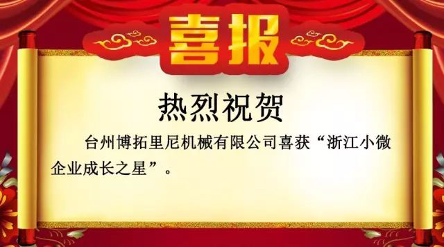 喜報(bào)！！！博拓里尼榮獲浙江小微企業(yè)成長(zhǎng)之星。
